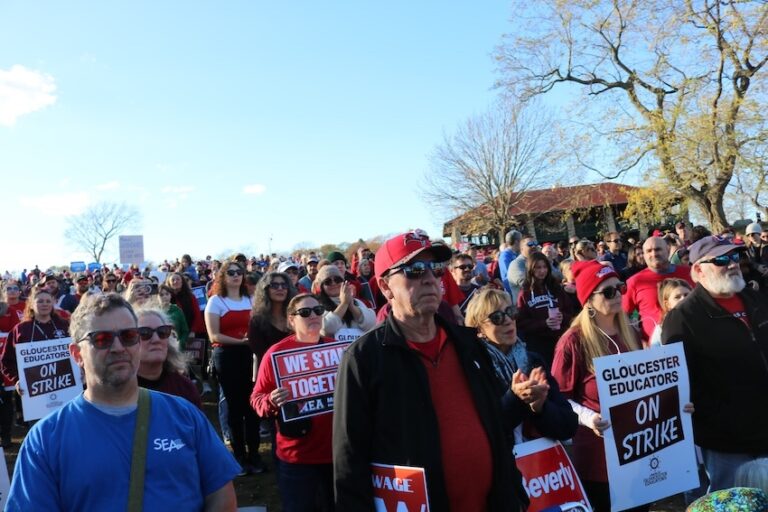 Crowd of people holding signs supporting the educator strikes.