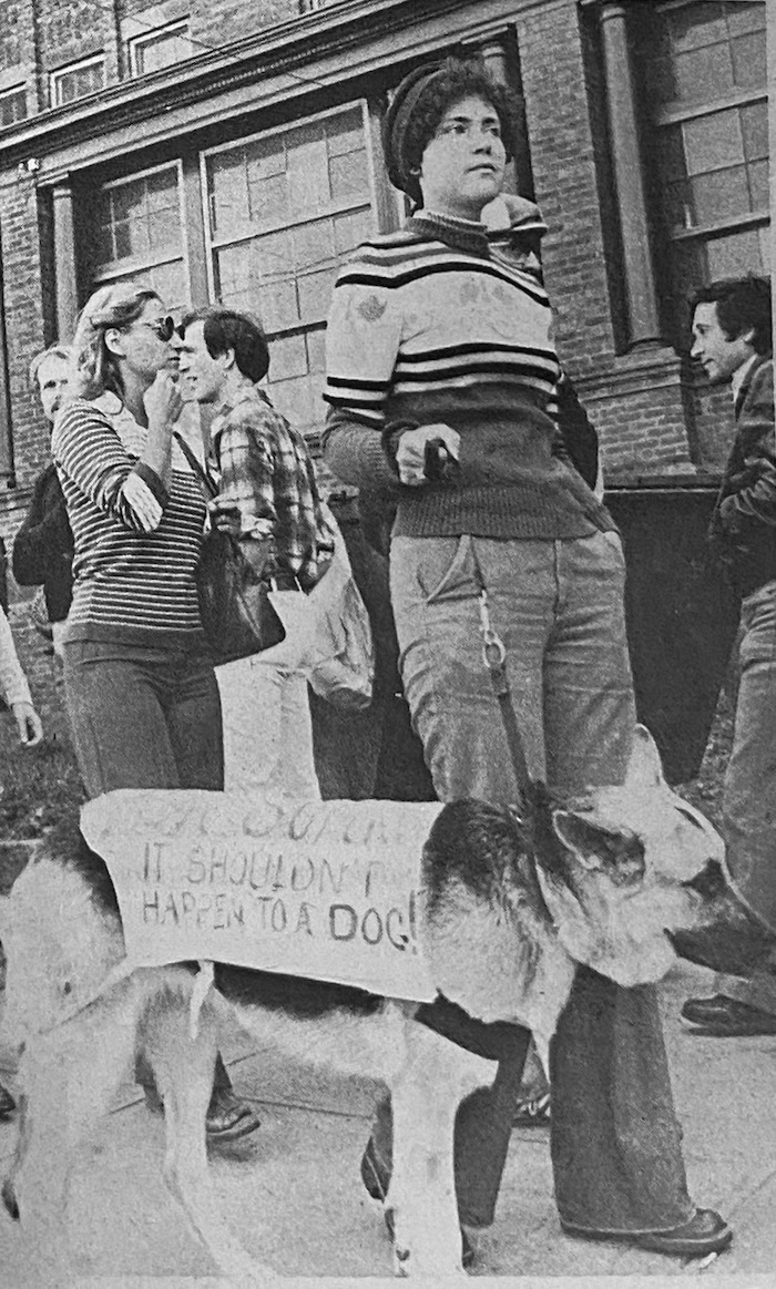 Picketer on the picket line with their dog. The dog is wearing a sign supporting the Fall River strike.