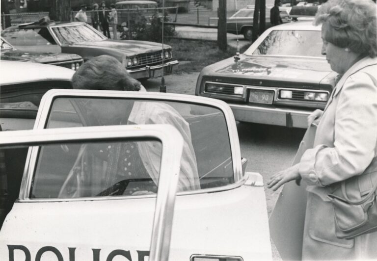 Two people getting into the back of a police car.